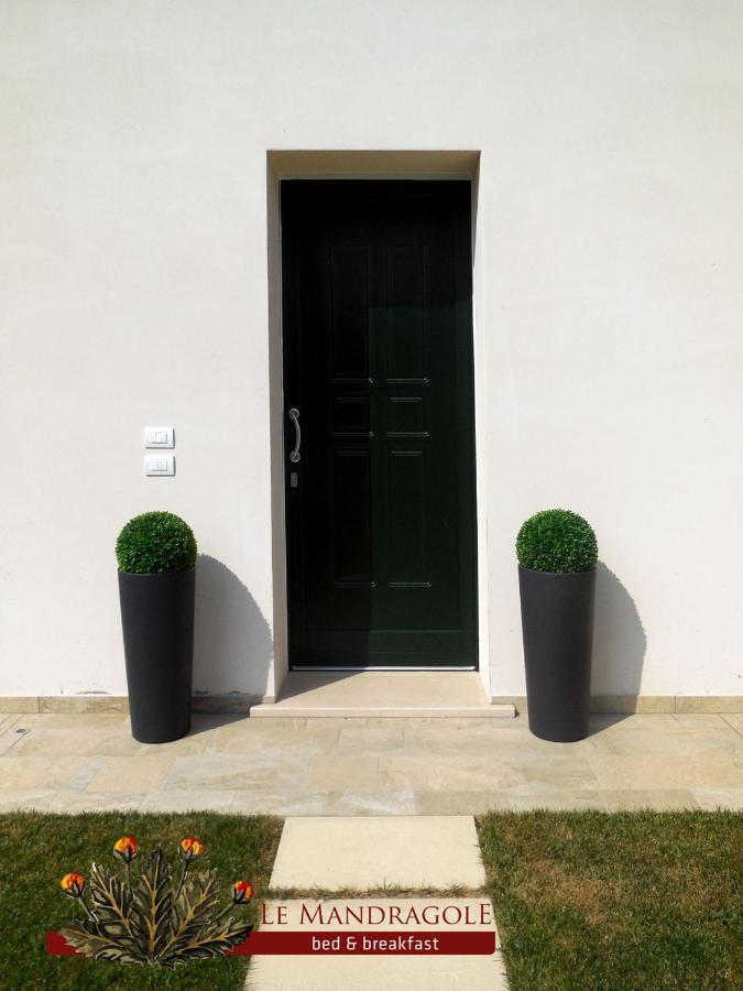 Le Mandragole B&B Roncade Exterior foto